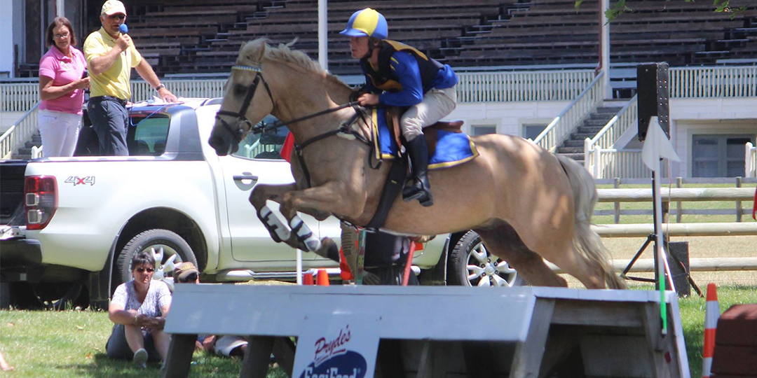 Masterton Showgrounds Equestrian