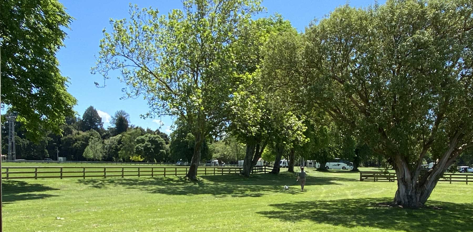 image of a woman walking a dog at Solway Showgrounds