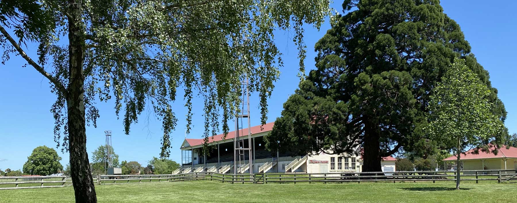 An image of the view of the grandstand from the right hand side through the trees