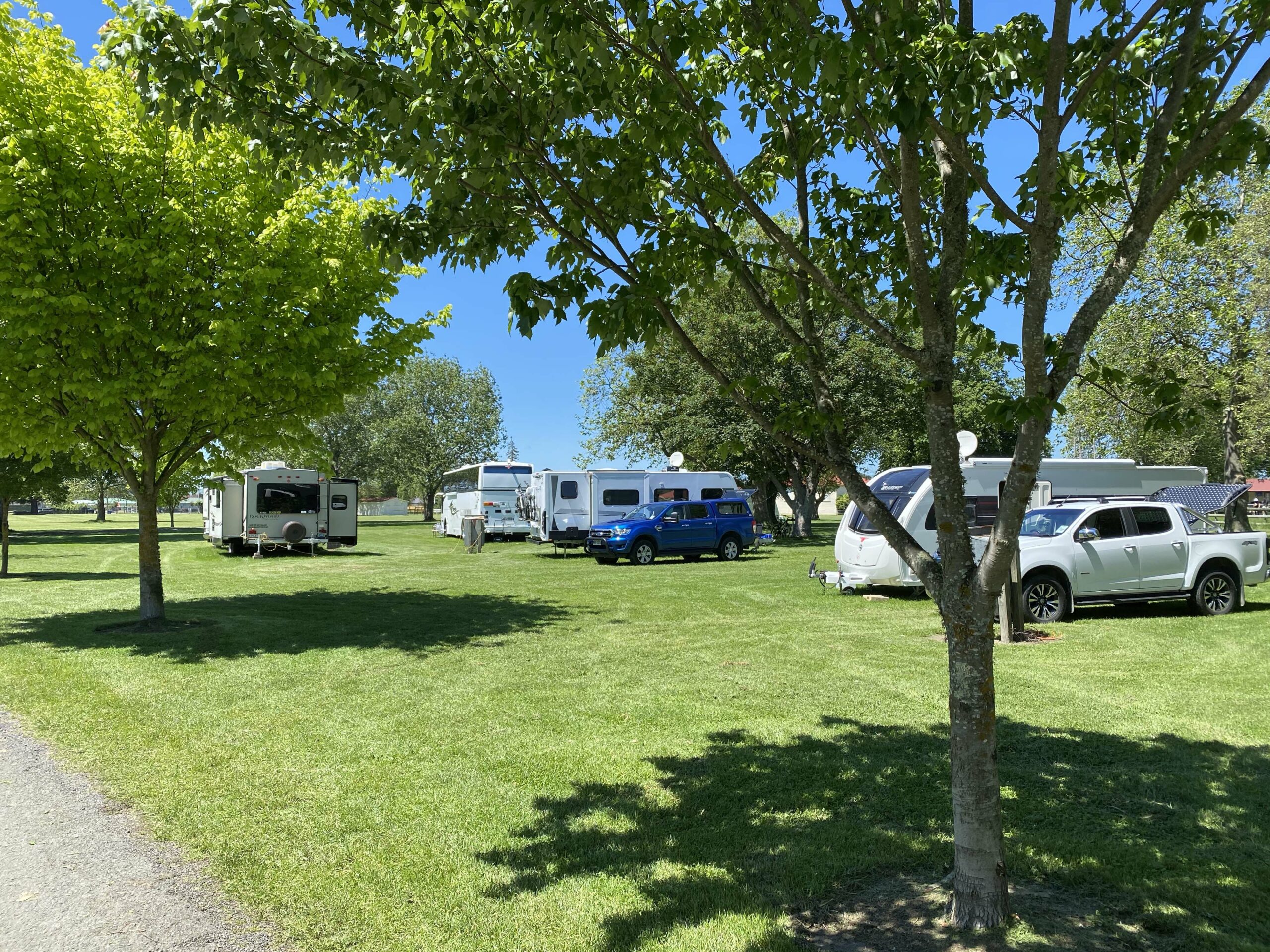 Image of motorhomes in Solway Showgrounds